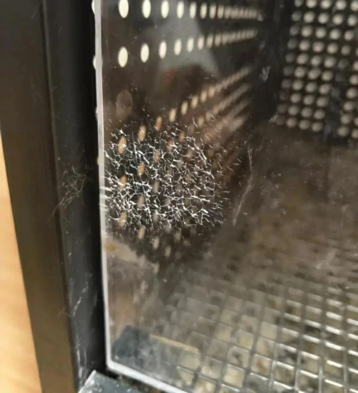 10 Alcohol Forbidden Things