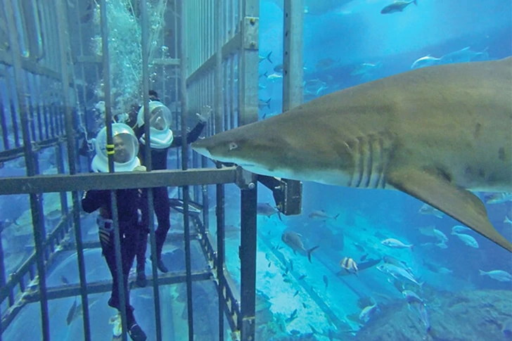 29 shameless photos of Dubai that will amaze you