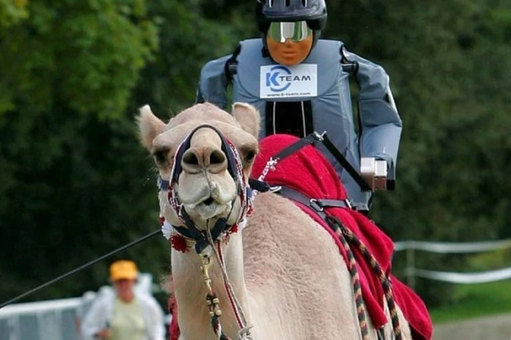 29 shameless photos of Dubai that will amaze you