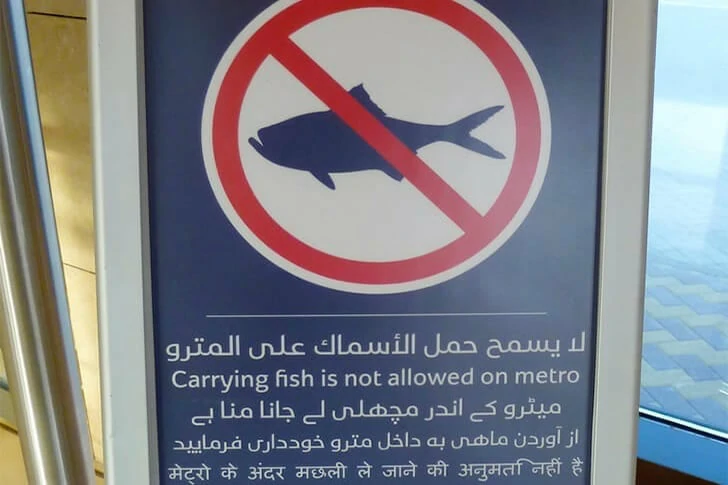 29 shameless photos of Dubai that will amaze you