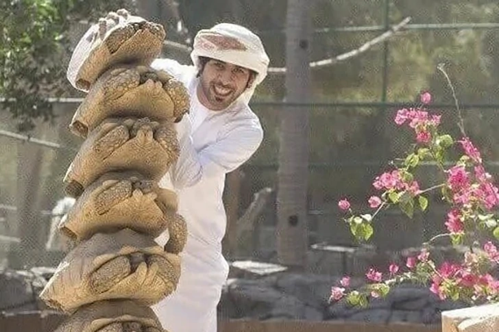 29 shameless photos of Dubai that will amaze you