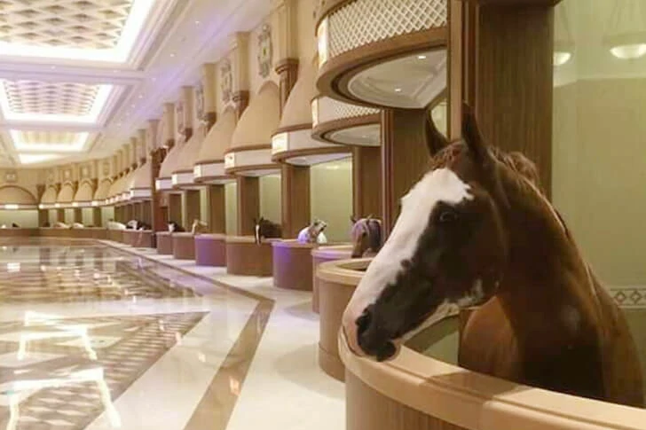 29 shameless photos of Dubai that will amaze you