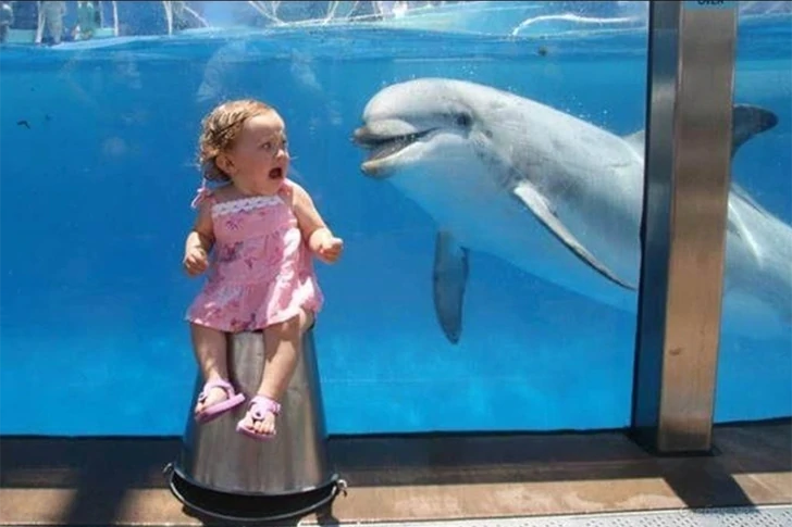 39 Awkward Vacation Photos You Absolutely Should See