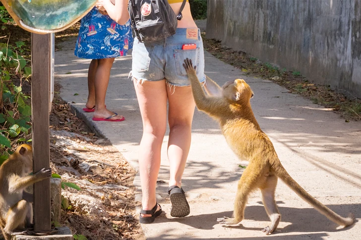 絶対に見るべき、気まずい休暇中の写真39枚