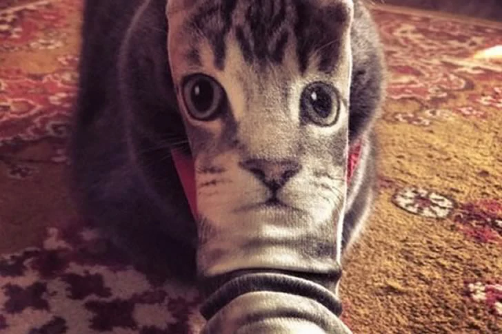 40 Breathtakingly Perfect Time-Lapse Photos