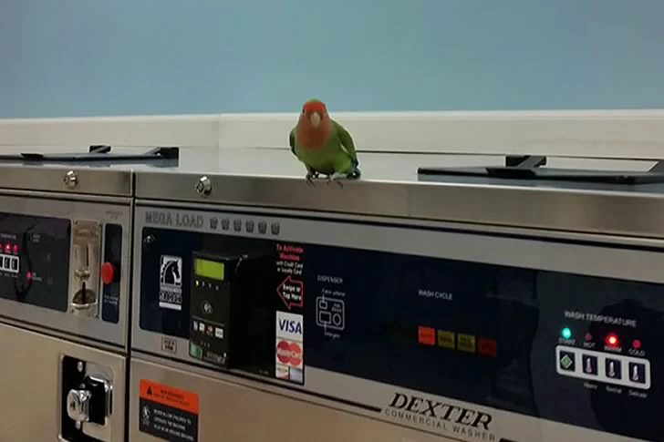 40 Breathtakingly Perfect Time-Lapse Photos