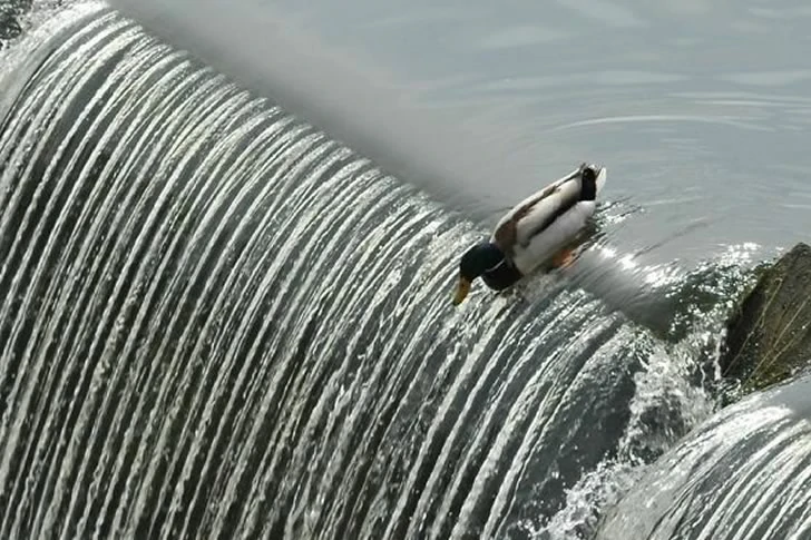 40 Breathtakingly Perfect Time-Lapse Photos