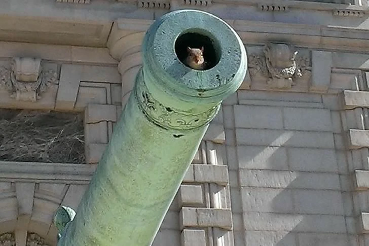 40 Breathtakingly Perfect Time-Lapse Photos