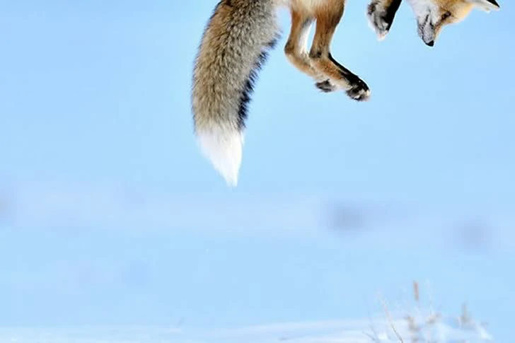 40 Breathtakingly Perfect Time-Lapse Photos