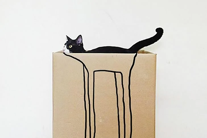 40 Breathtakingly Perfect Time-Lapse Photos