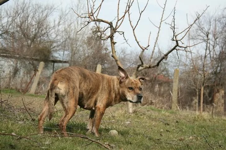 40 Breathtakingly Perfect Time-Lapse Photos