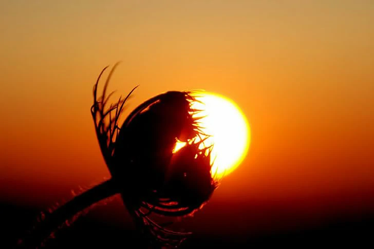 40 Breathtakingly Perfect Time-Lapse Photos