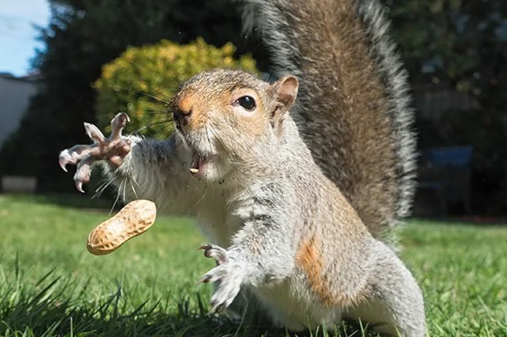 40 Breathtakingly Perfect Time-Lapse Photos