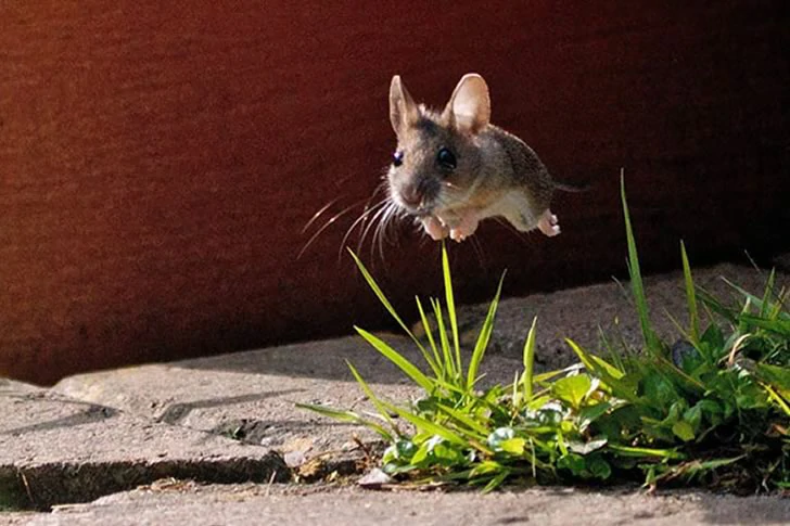 40 Breathtakingly Perfect Time-Lapse Photos