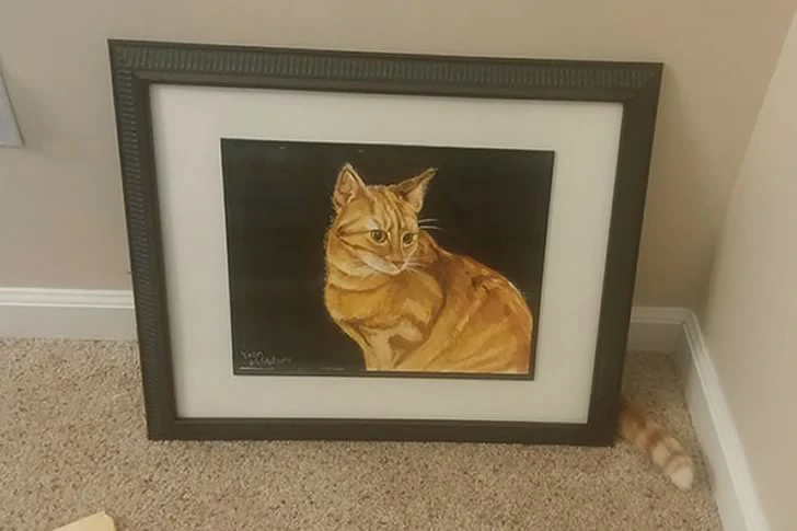 40 Breathtakingly Perfect Time-Lapse Photos