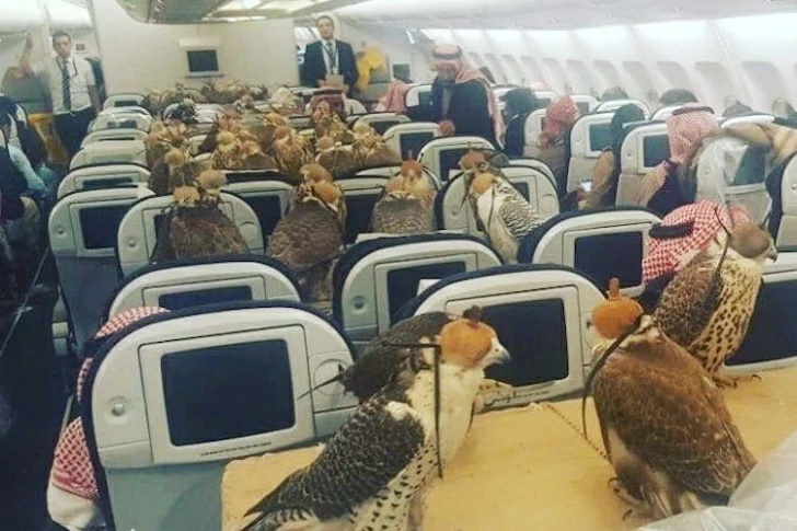 42 Unusual Airport Photos