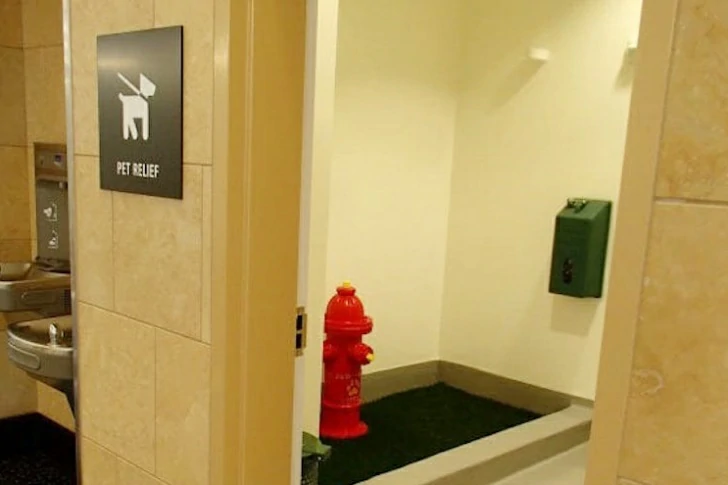 42 Unusual Airport Photos