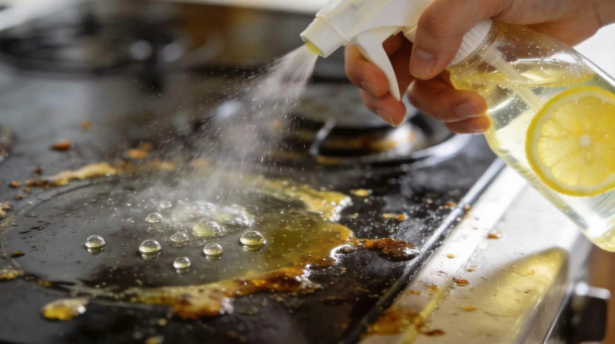 DIY Citrus Vinegar Cleaning Spray for a Fresh Home