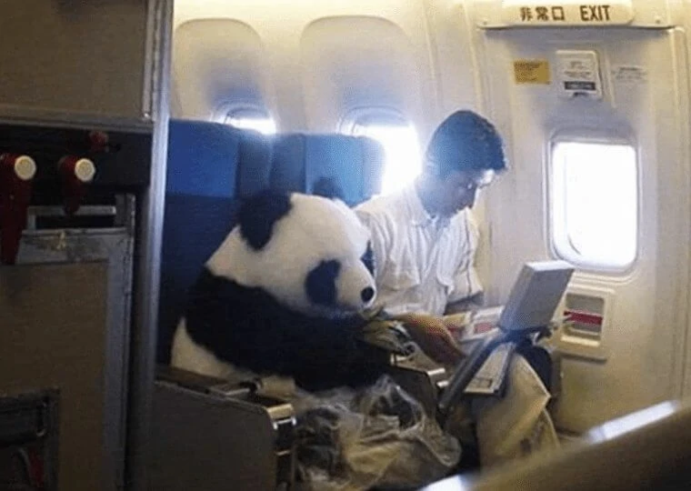 Flight attendants share their most memorable travel experiences