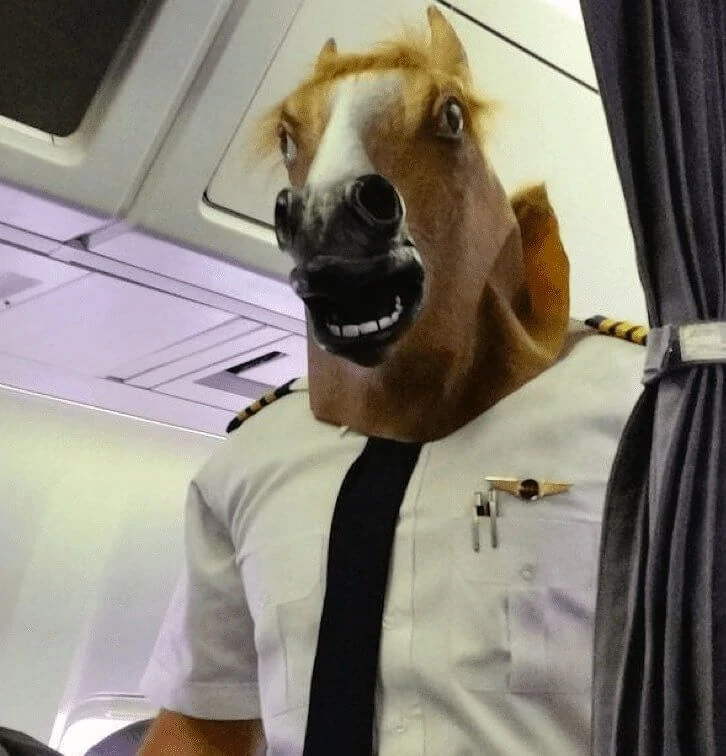 Flight attendants share their most memorable travel experiences