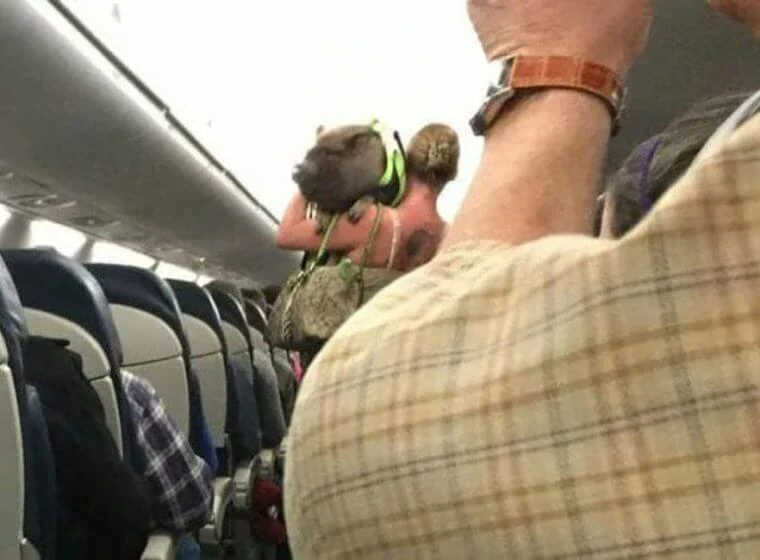 Flight attendants share their most memorable travel experiences