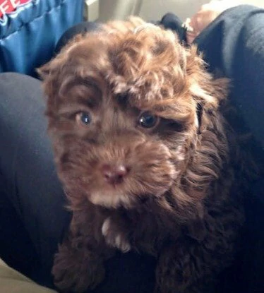 Flight attendants share their most memorable travel experiences