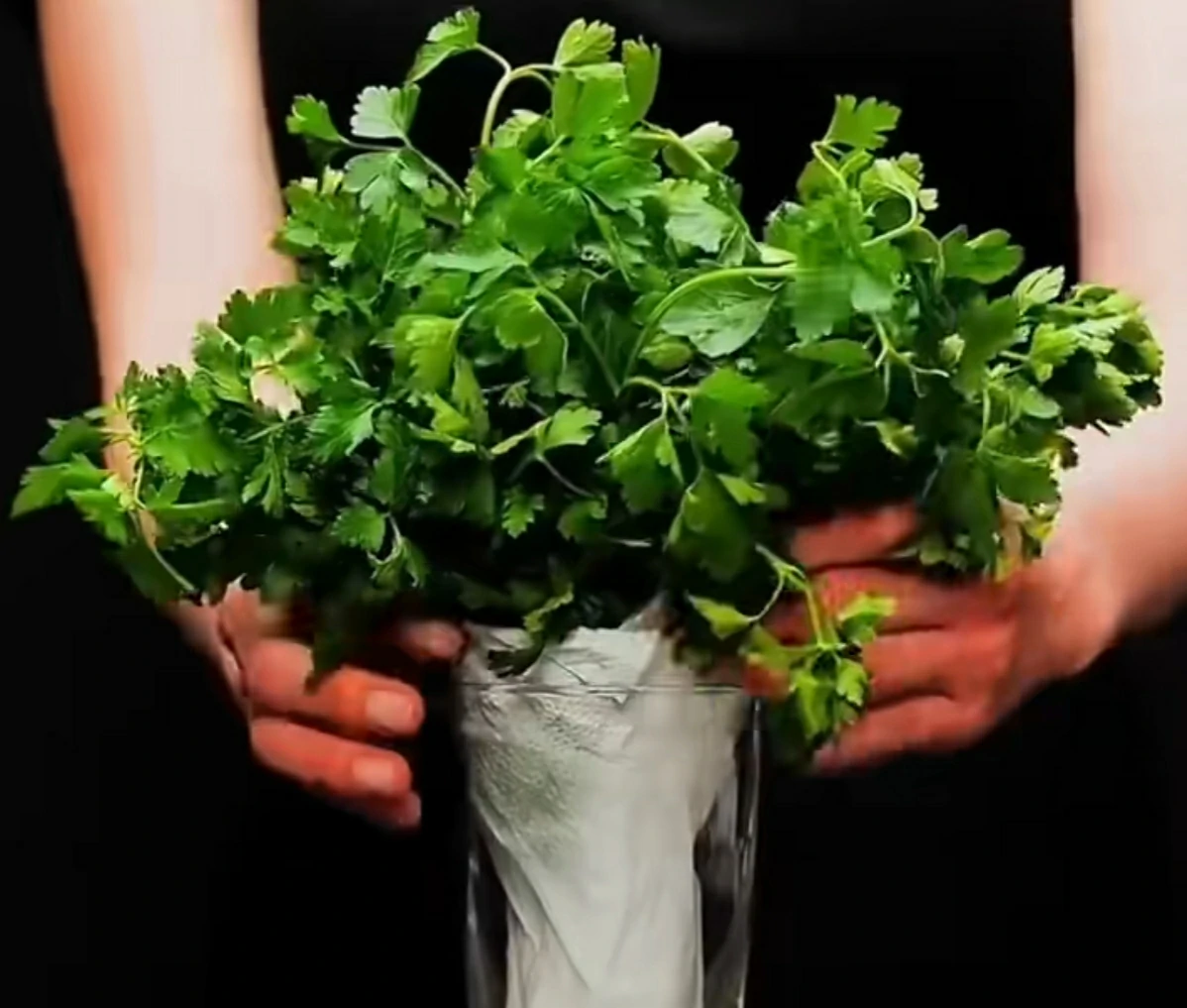 Food storage tips that vegetable vendors will never tell you