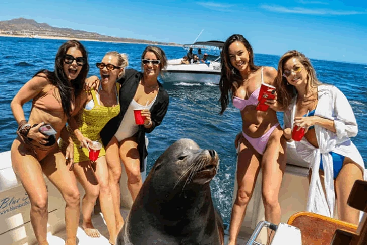 Holiday photos that make you smile