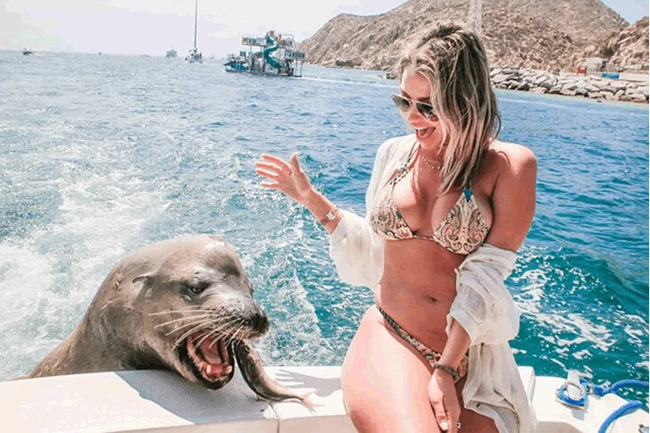 Holiday photos that make you smile