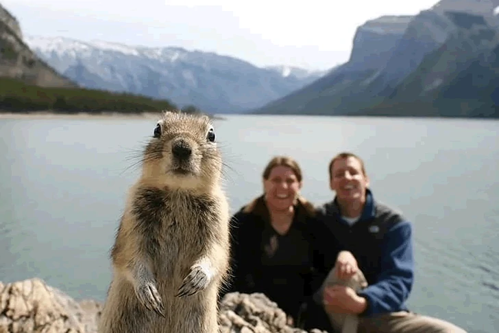 Holiday photos that make you smile