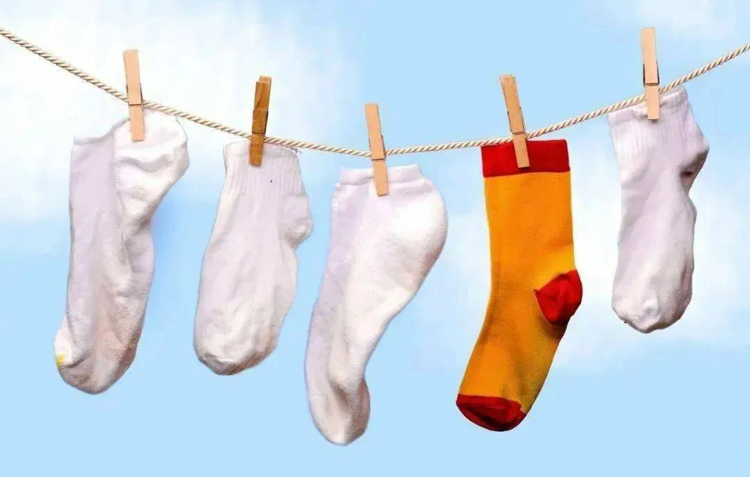 襪子到底有多髒？能和內褲一起洗嗎？