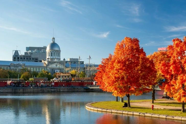 J’ai été conquis par leur culture : 40 villes dont on ne se lasse pas