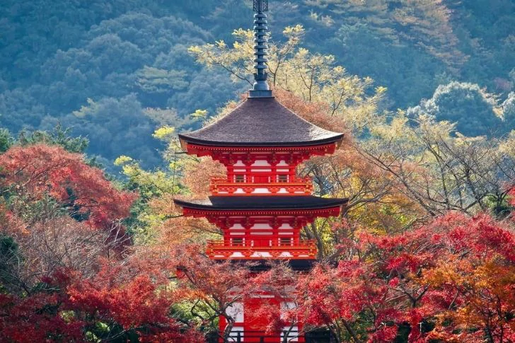 I Caught Feelings For Their Culture”: 40 Cities People Can’t Get Over