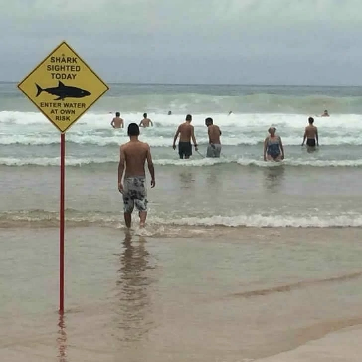 Holidaymakers did not expect the beach to be so