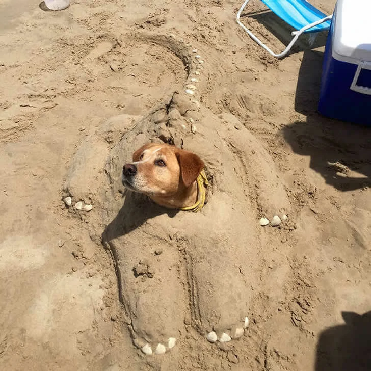 Holidaymakers did not expect the beach to be so