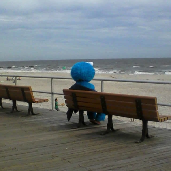 Holidaymakers did not expect the beach to be so