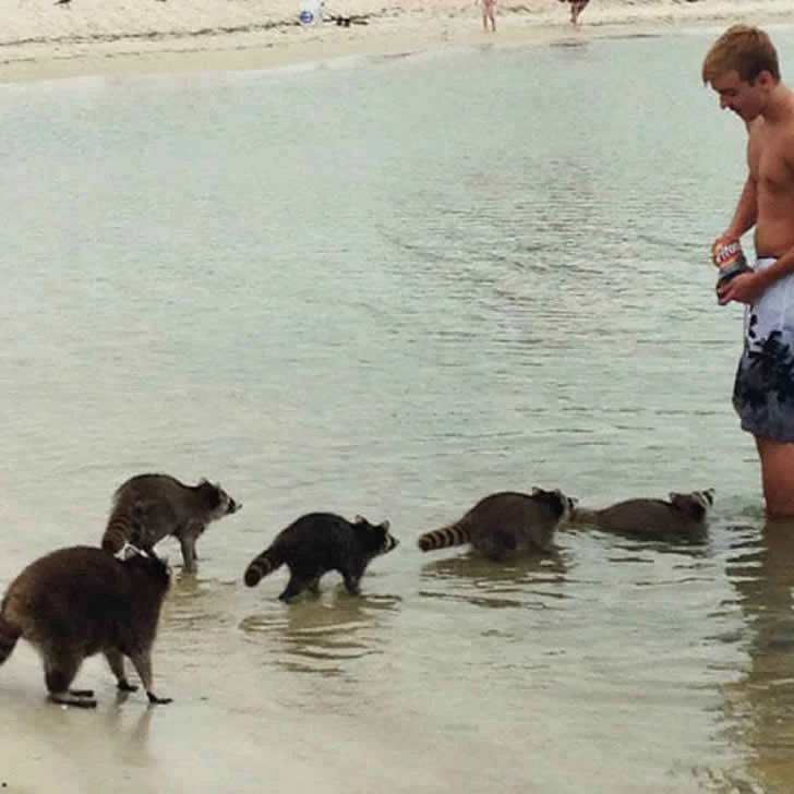 Holidaymakers did not expect the beach to be so