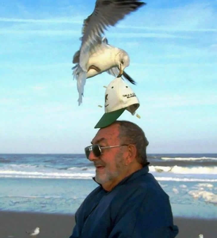 Holidaymakers did not expect the beach to be so