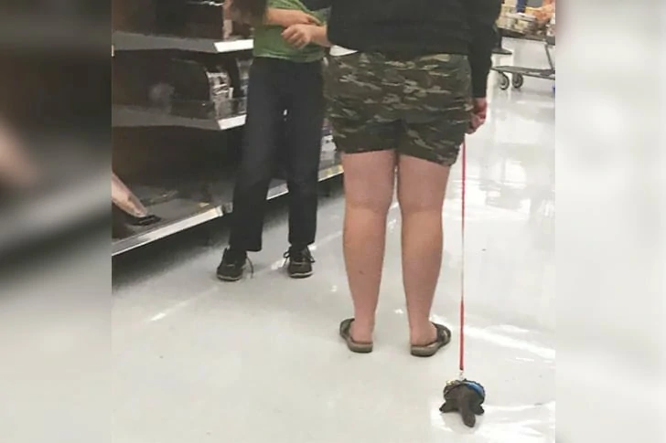 Take the most amazing photos at Walmart