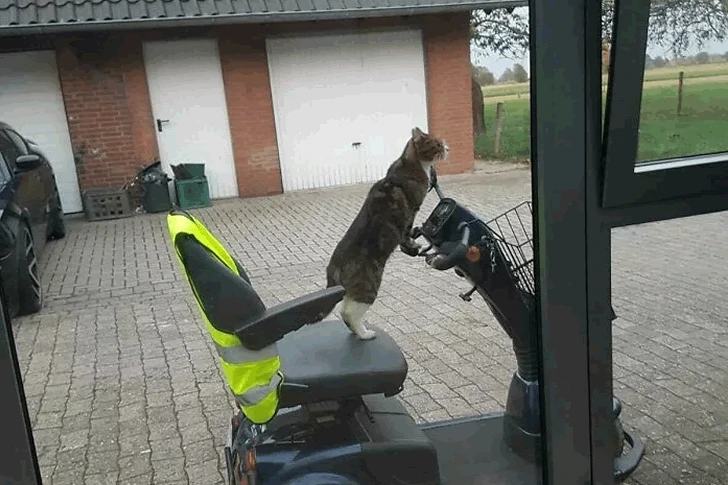 Take the most amazing photos at Walmart