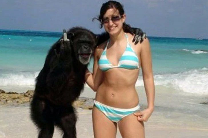 これらの写真がビーチで撮られたとは誰も思わないでしょう