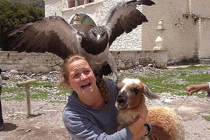 これらの写真がビーチで撮られたとは誰も思わないでしょう