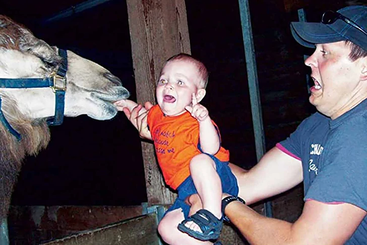 これらの写真がビーチで撮られたとは誰も思わないでしょう