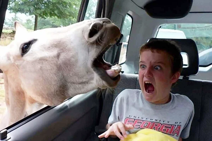 これらの写真がビーチで撮られたとは誰も思わないでしょう