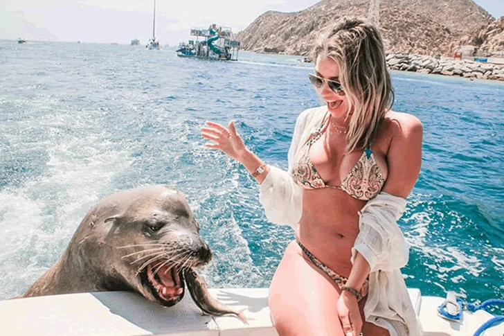 これらの写真がビーチで撮られたとは誰も思わないでしょう