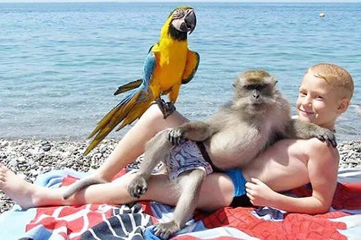 これらの写真がビーチで撮られたとは誰も思わないでしょう