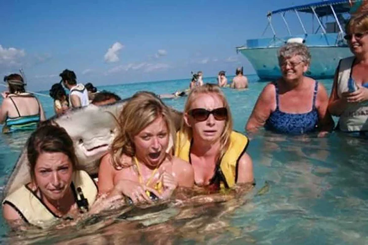 これらの写真がビーチで撮られたとは誰も思わないでしょう