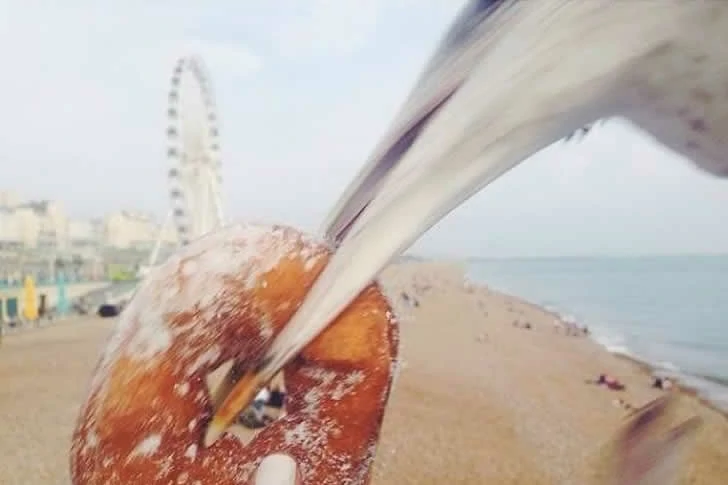 ビーチでの休暇中の珍しい写真。