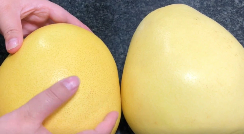When buying pomelos, should you choose the pointed or round ones?